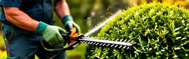 Landscape Bed Maintenance & Edging