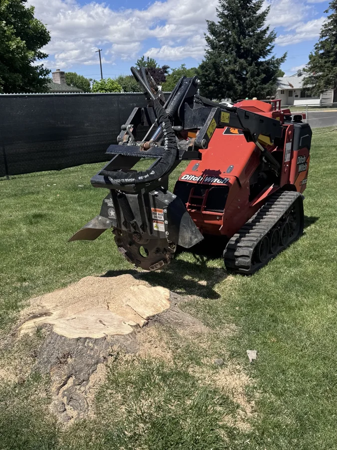 Stump Grinding